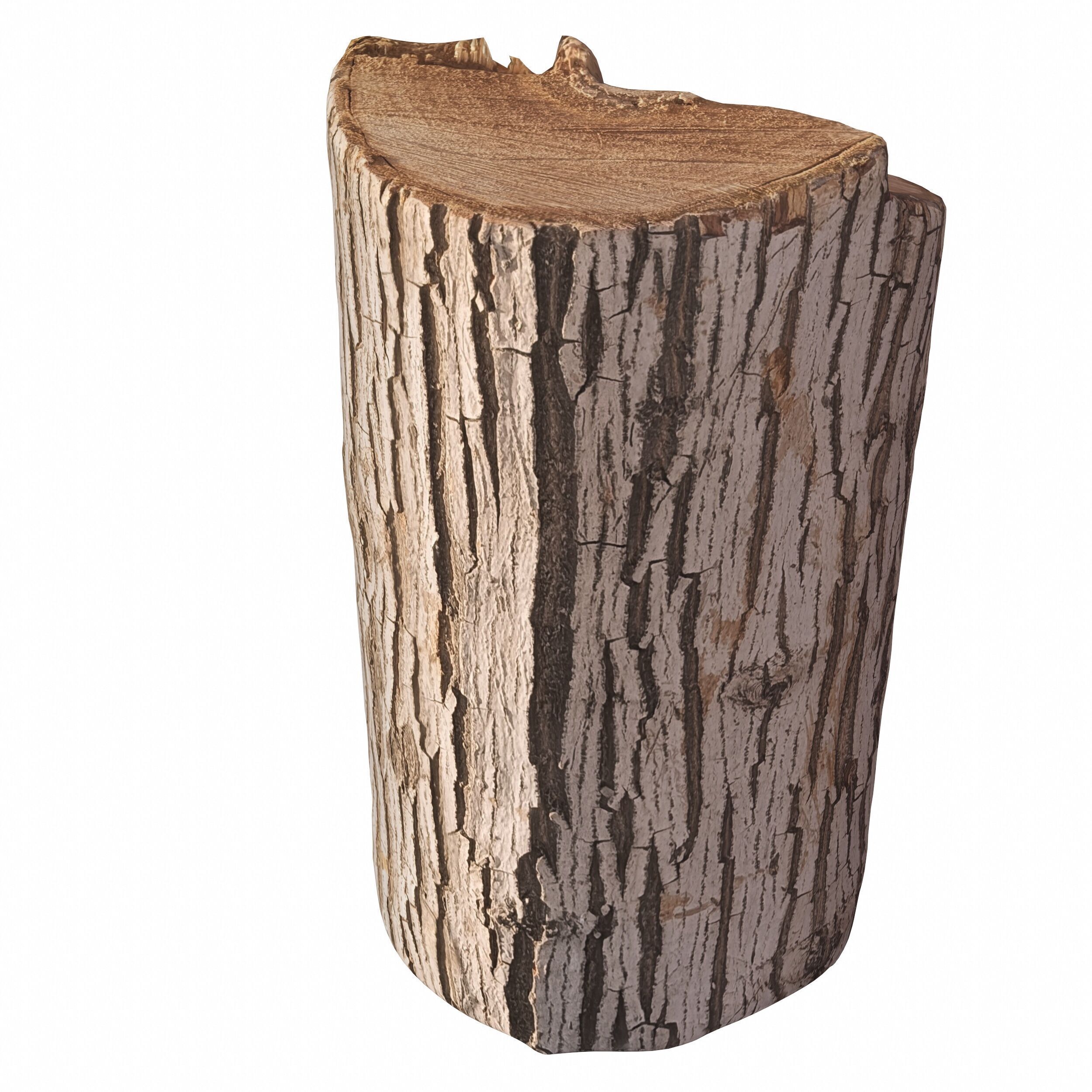 trunk 100 3D model_4