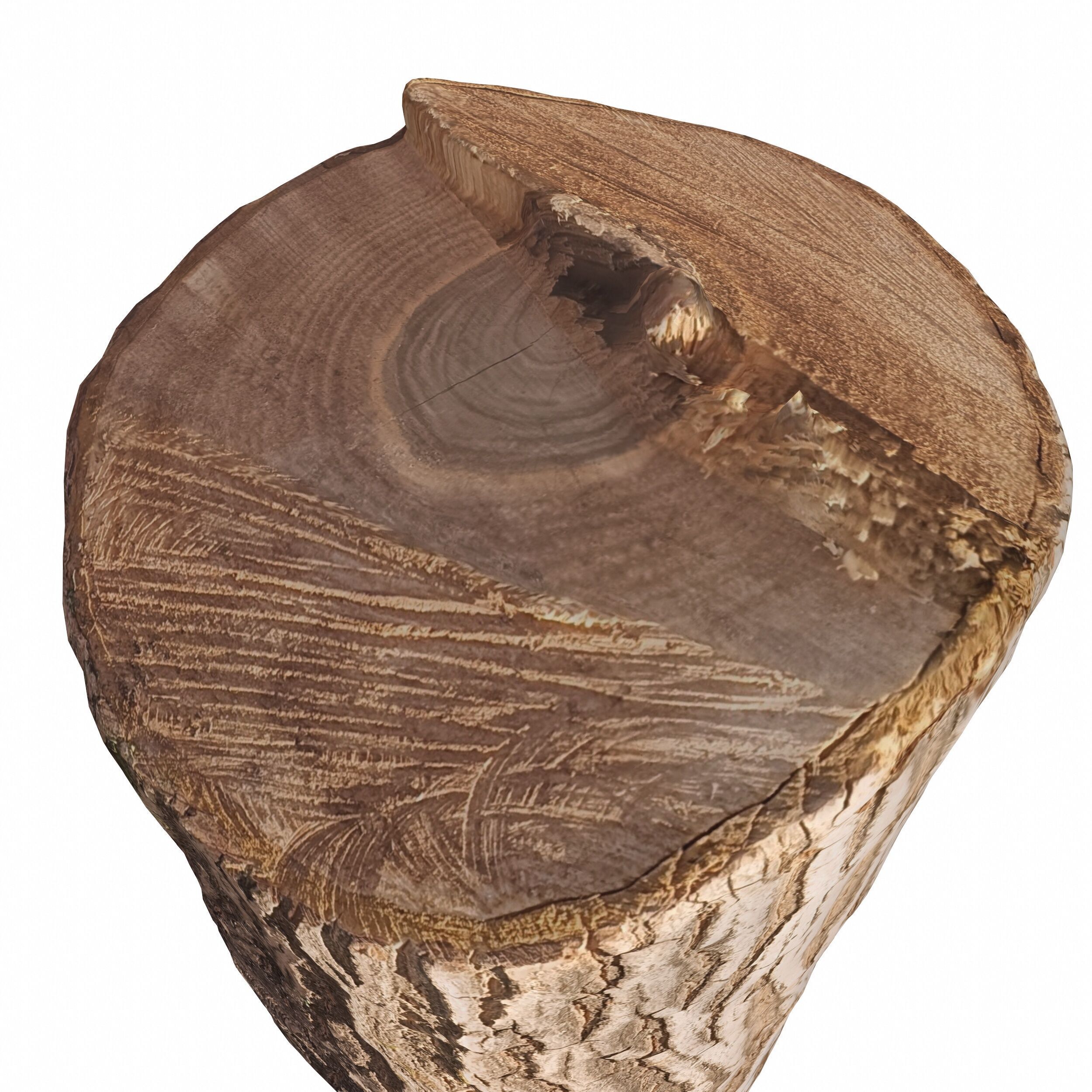 trunk 100 3D model_7