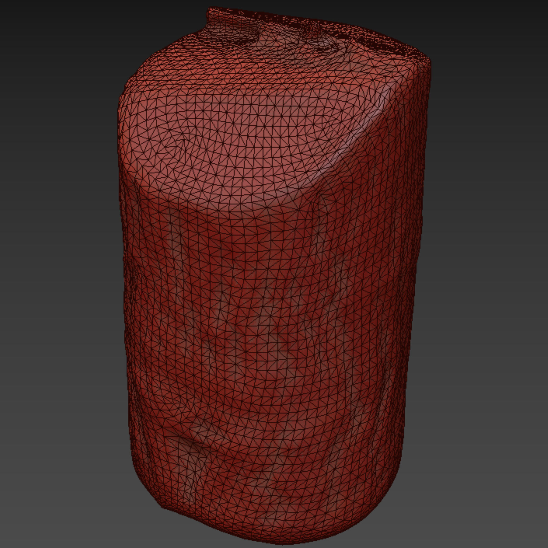 trunk 100 3D model_8