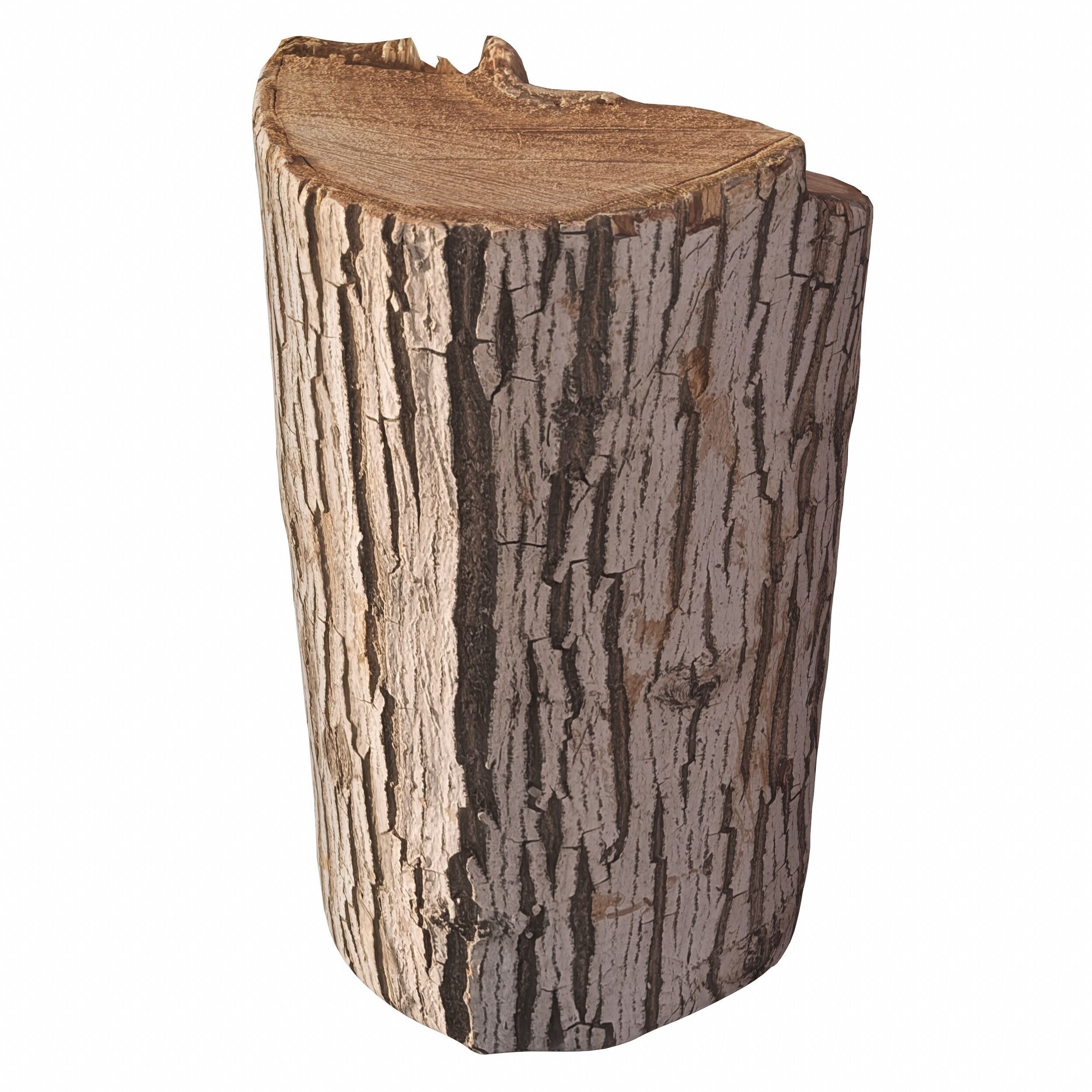 trunk 100 3D model_5
