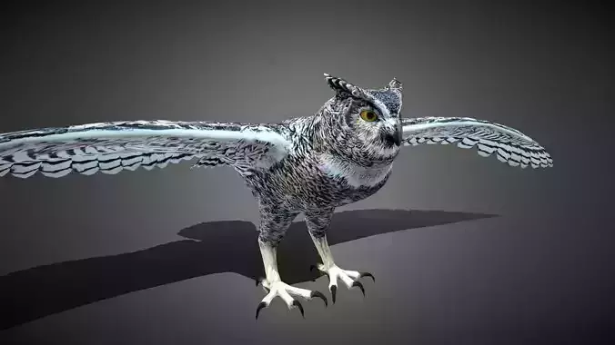 Realistic Owl 3D Model