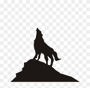 3 head DIRE WOLFS 3DMODELS Low-poly 3D model_1