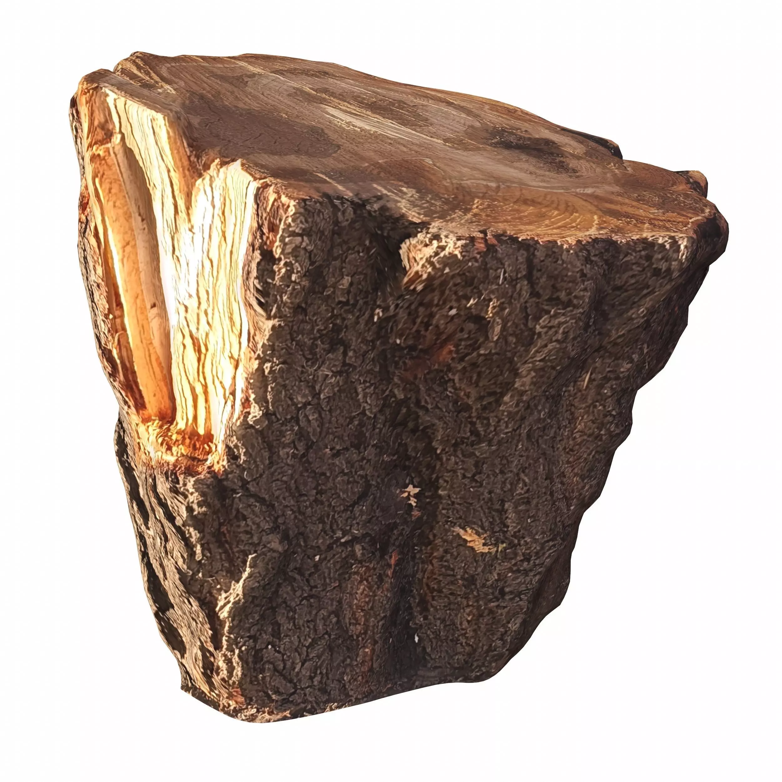 trunk 101 3D model_0