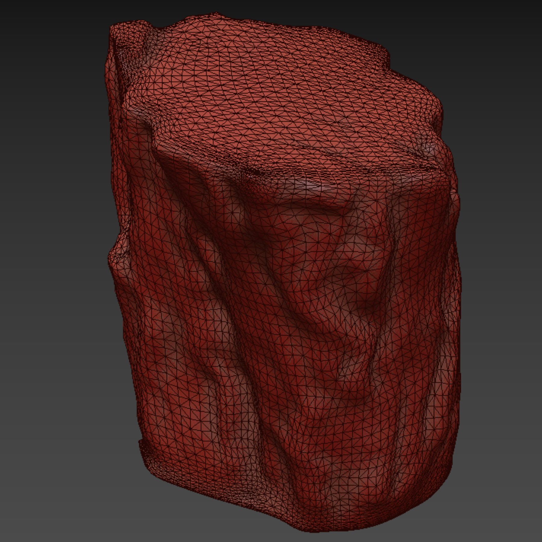 trunk 101 3D model_5