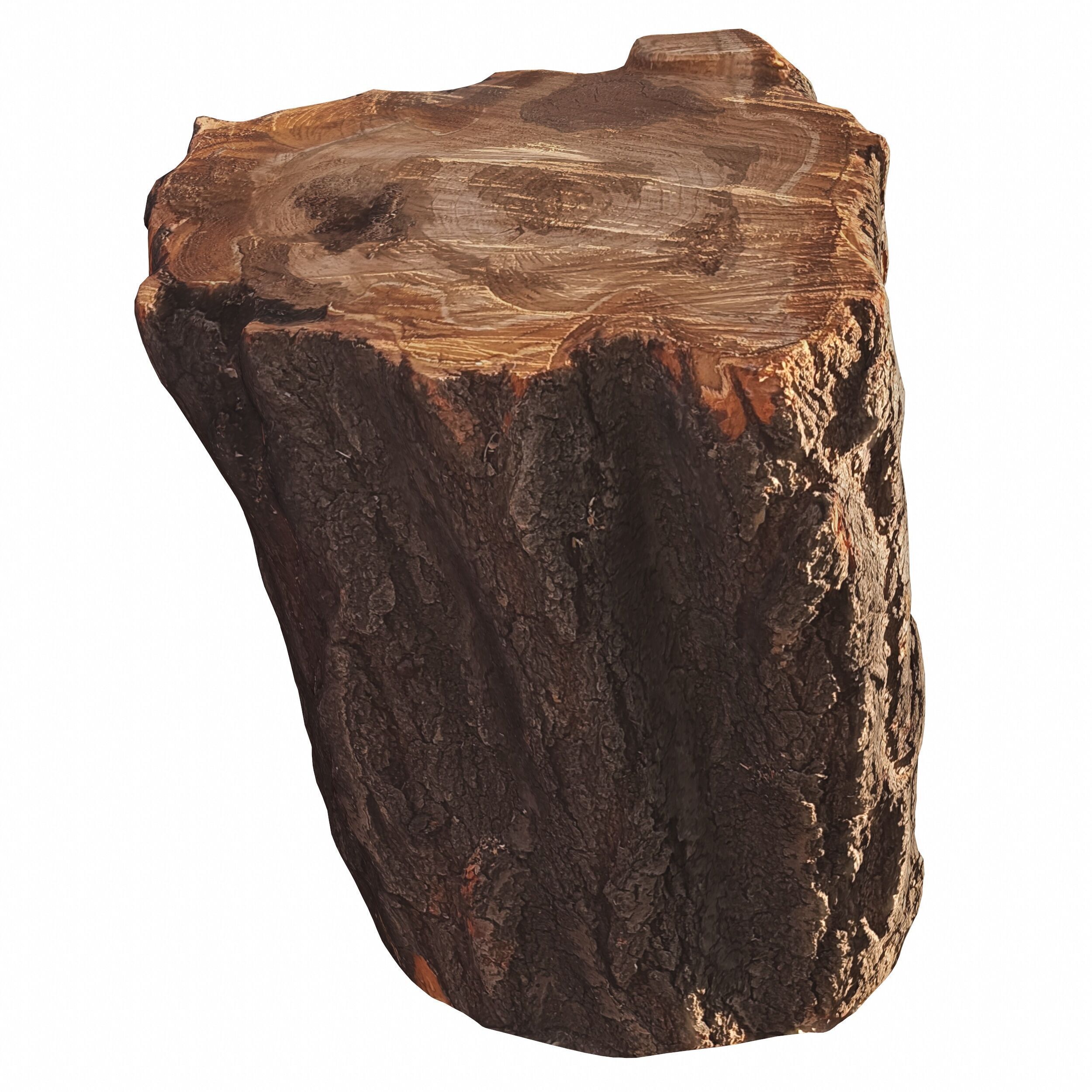 trunk 101 3D model_2