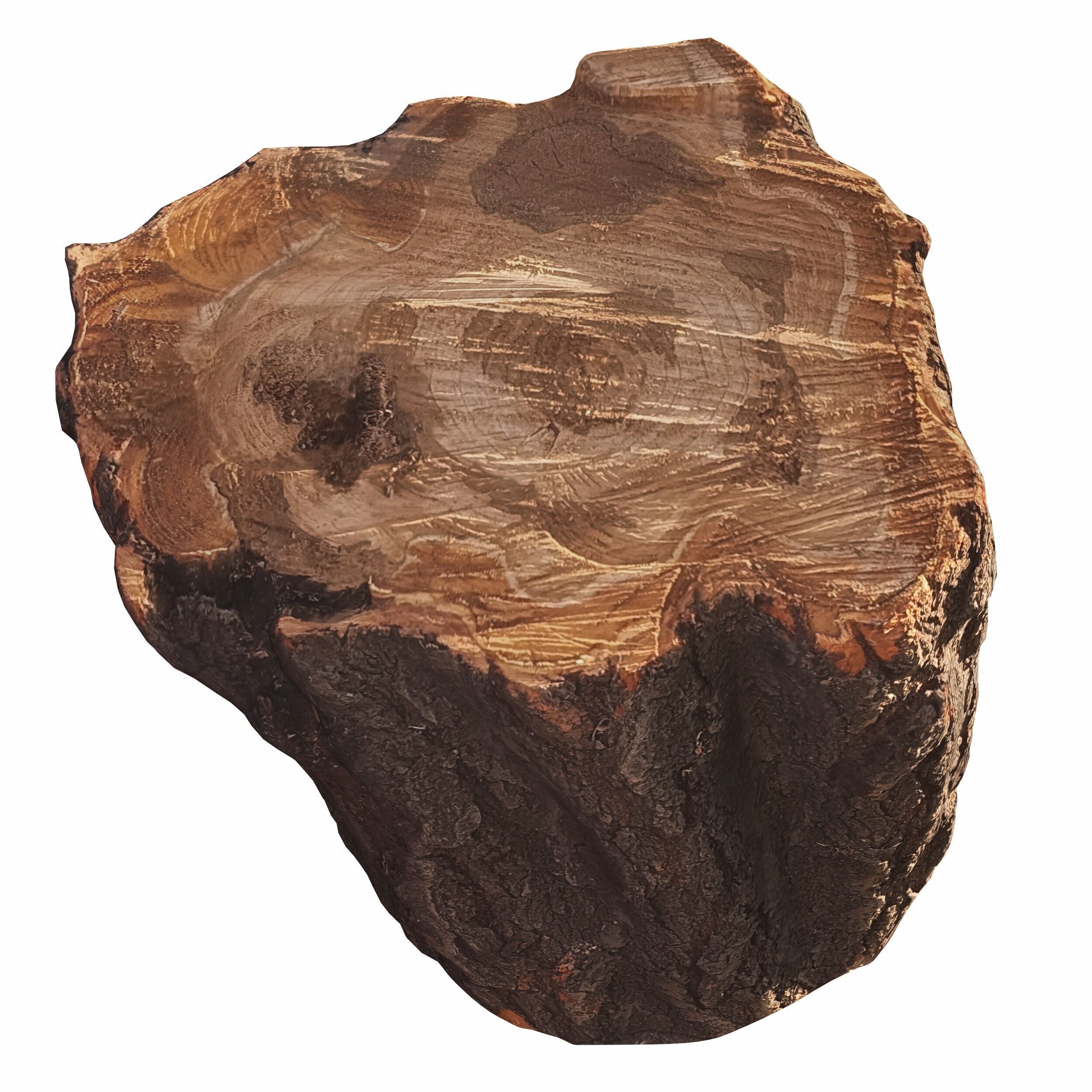 trunk 101 3D model_3