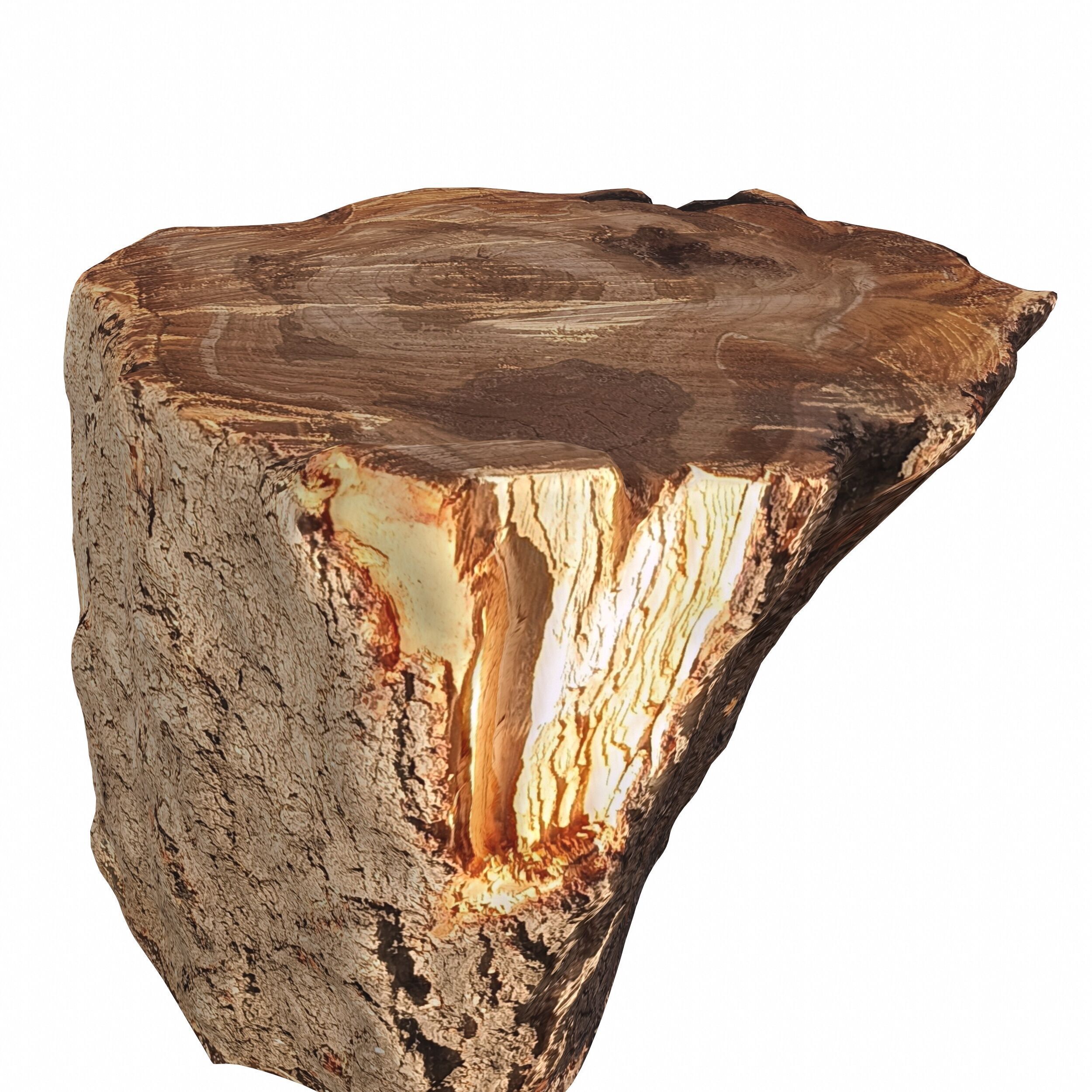 trunk 101 3D model_4