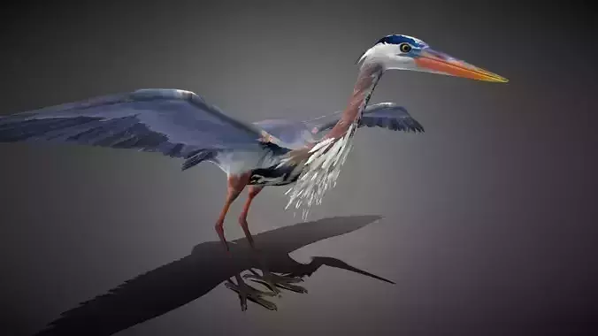 Realistic Heron 3D Model