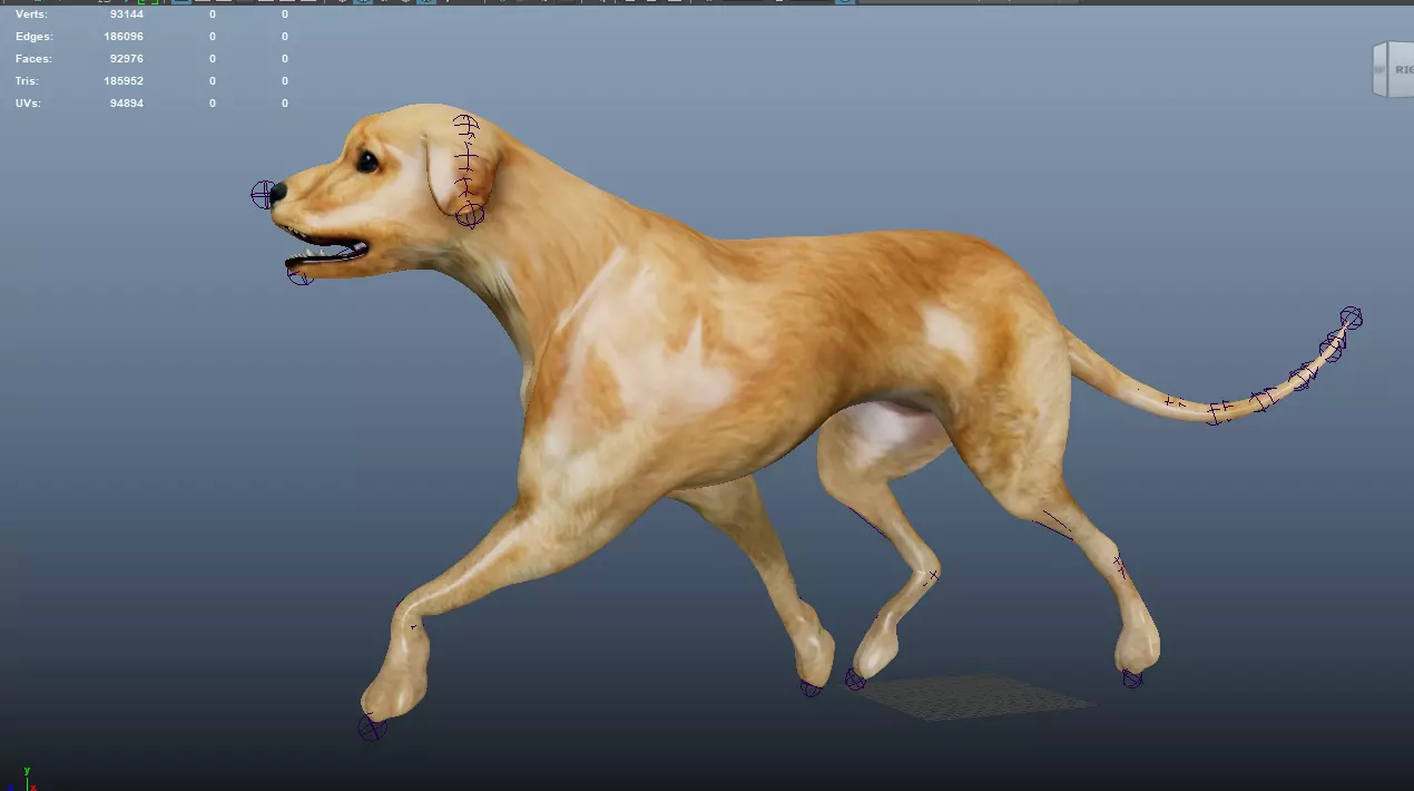 Dog Trot 3D model_0