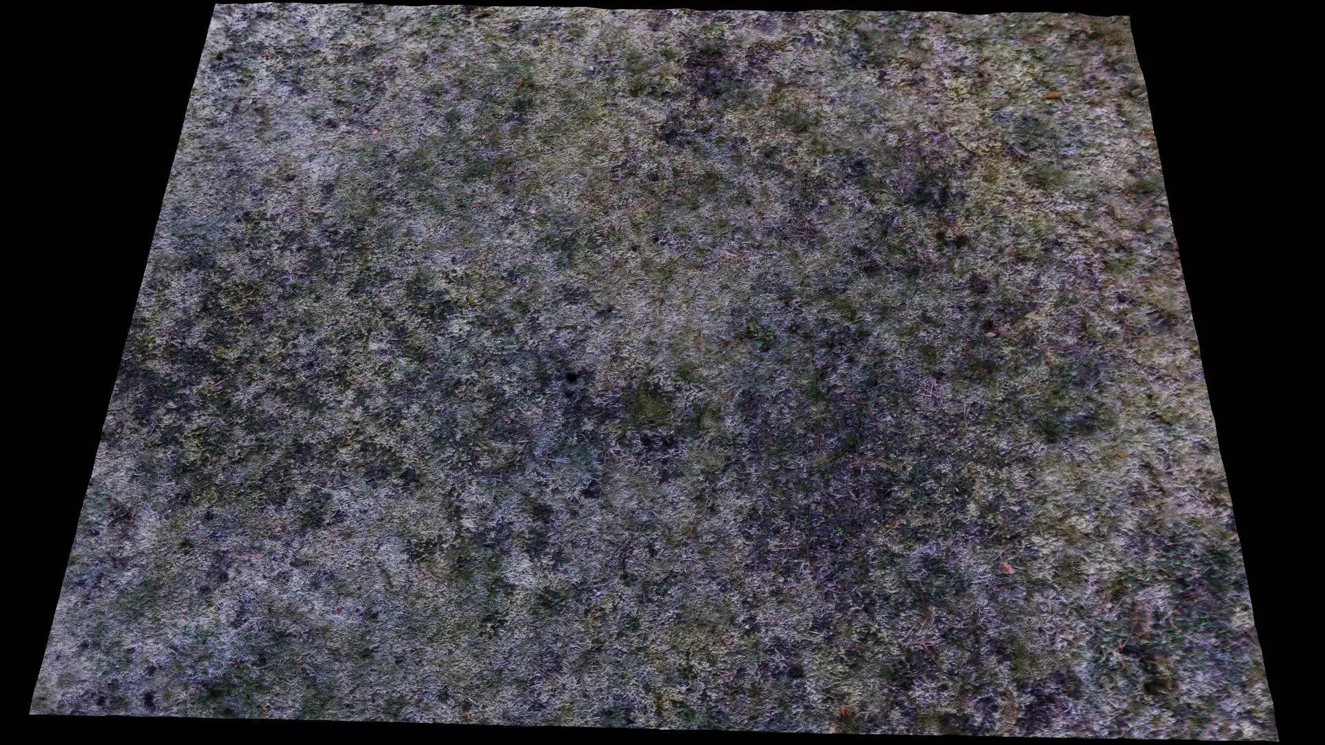 ground frosted grass terrain patch PBR photogrammetry Low-poly 3D model