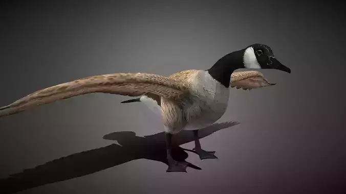 Realistic Goose 3D Model Low-poly 3D model