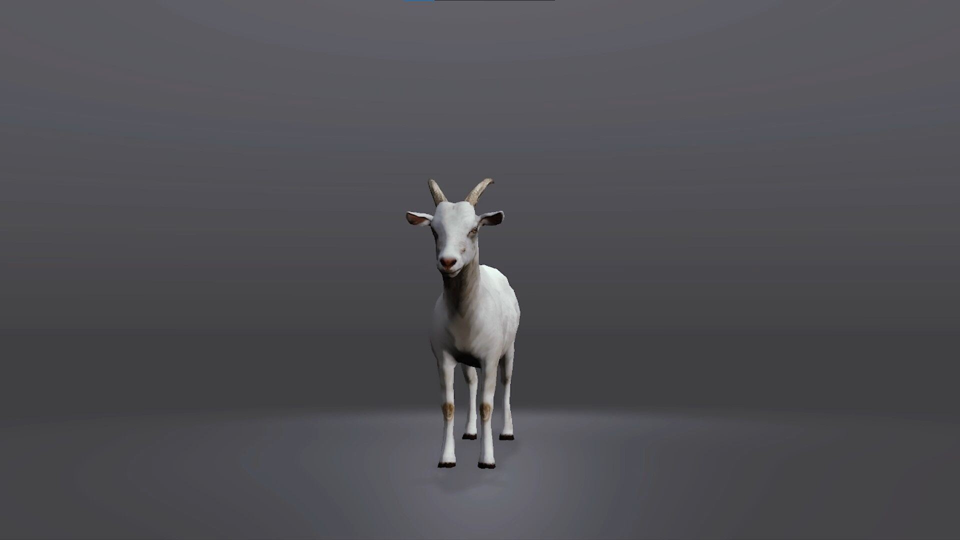 Realistic Goat 3D Model Low-poly 3D model_2