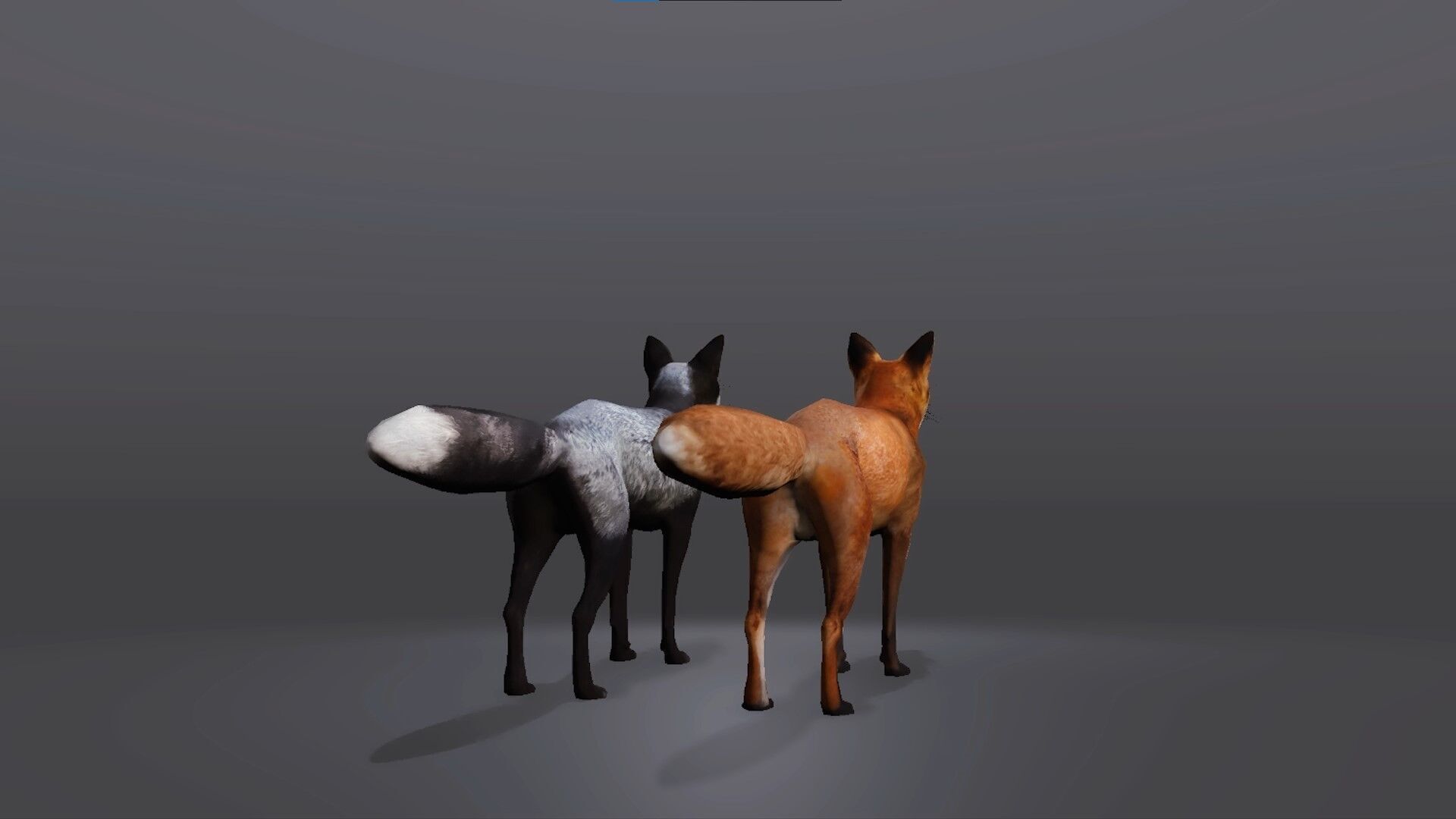 Realistic Fox 3D Model Low-poly 3D model_4