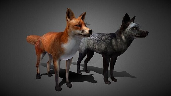 Realistic Fox 3D Model Low-poly 3D model
