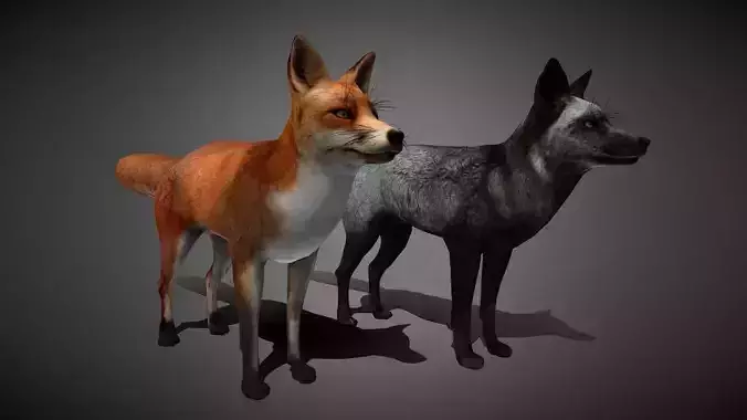 Realistic Fox 3D Model