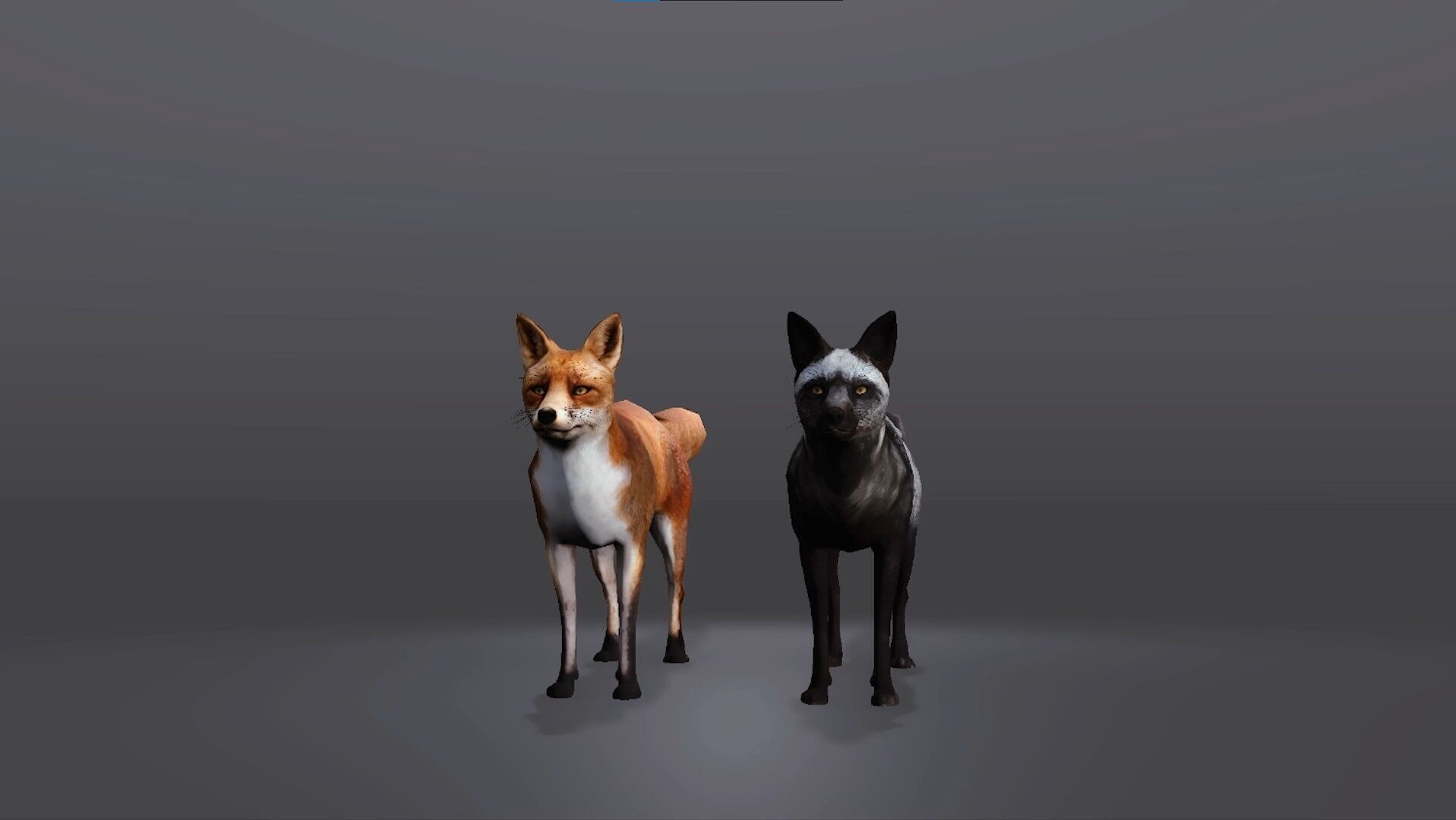 Realistic Fox 3D Model Low-poly 3D model_2