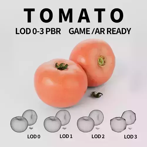 Tomatoes 3D model Low-poly 3D model