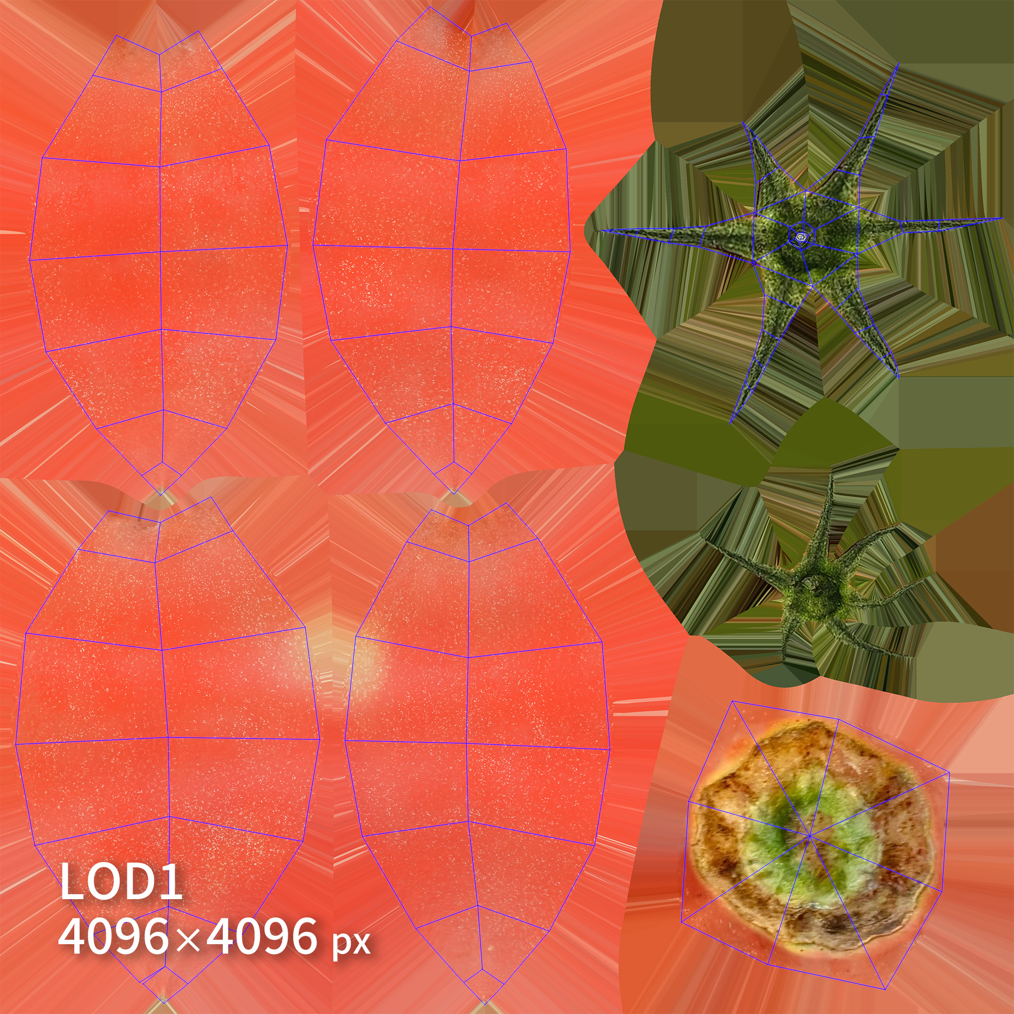 Tomatoes 3D model Low-poly 3D model_9