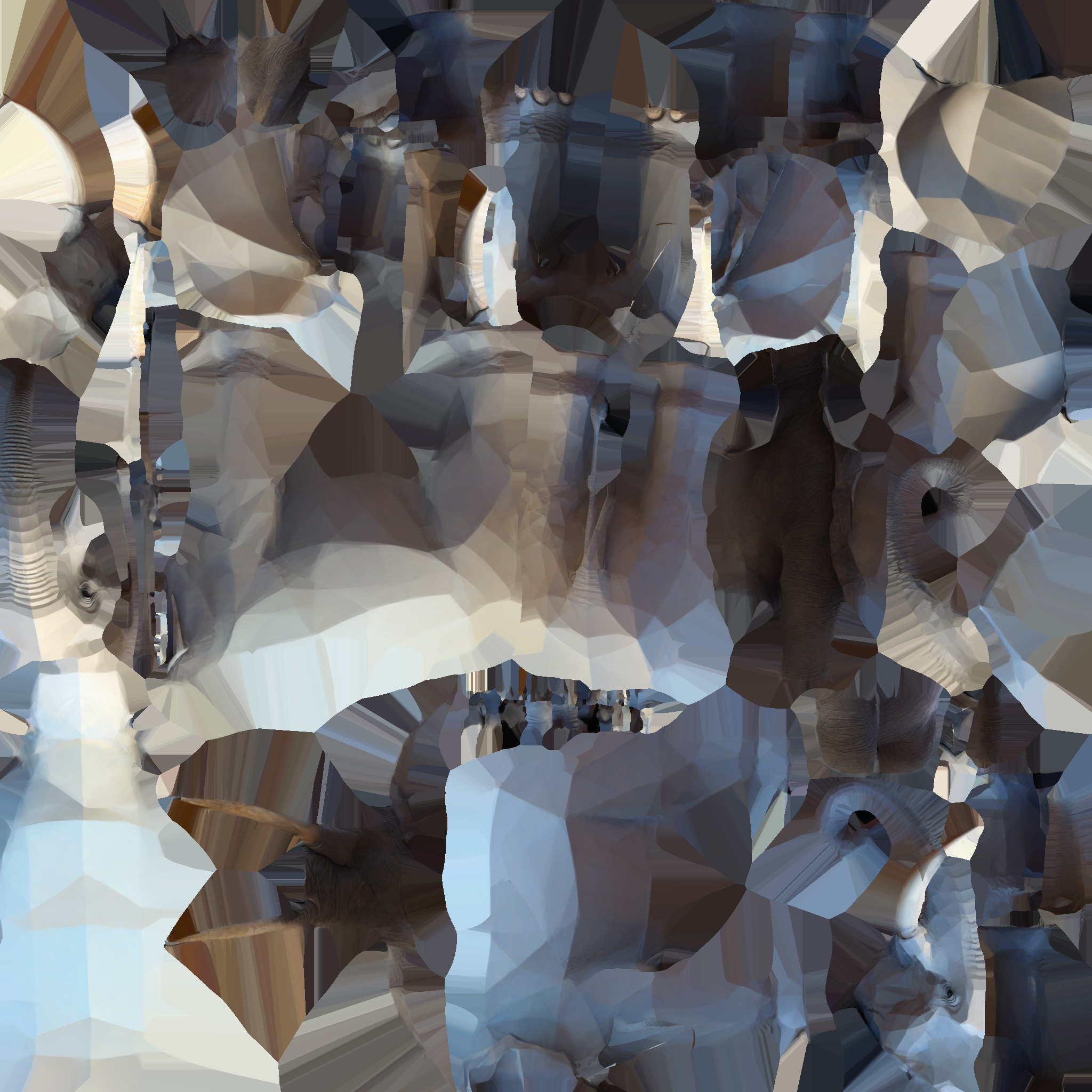  Elephant Largest Land Mamma 3d Render 3D model_9