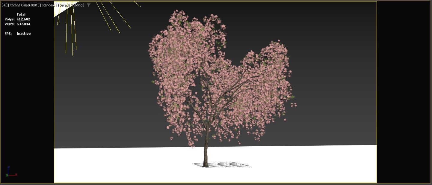 Prunus Subhirtella Pendula 3d Tree Model 3D model_10