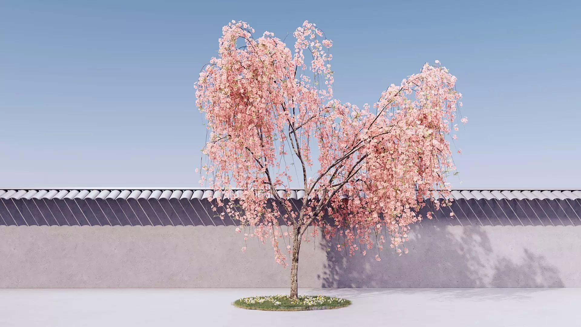 Prunus Subhirtella Pendula 3d Tree Model 3D model_0