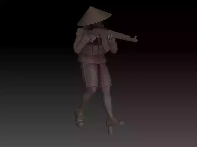 VIETNAM VIETCONG v5 3D print model