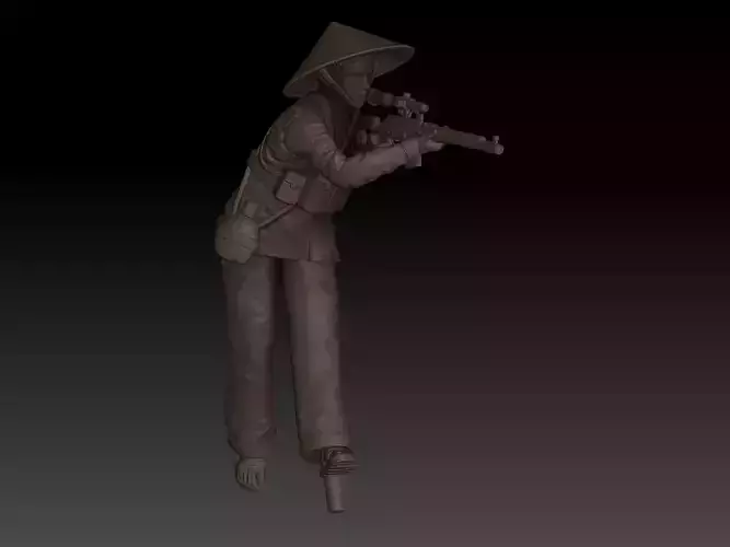 VIETNAM VIETCONG v14 3D print model