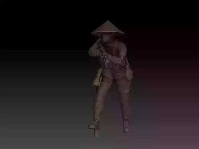 VIETNAM VIETCONG v17 3D print model