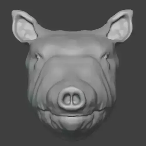 Pig Head