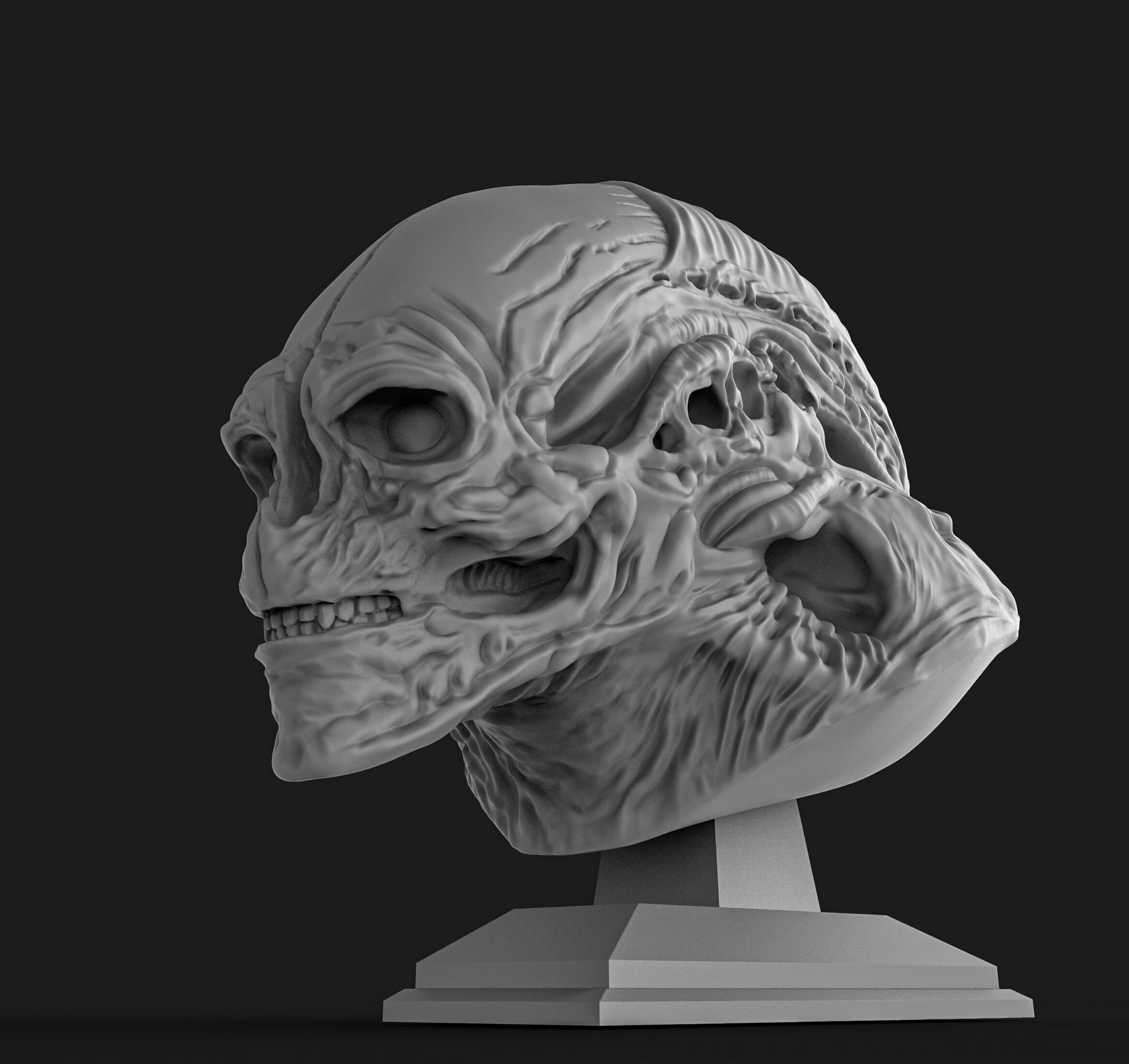 Alien newborn bust  3D print model_8
