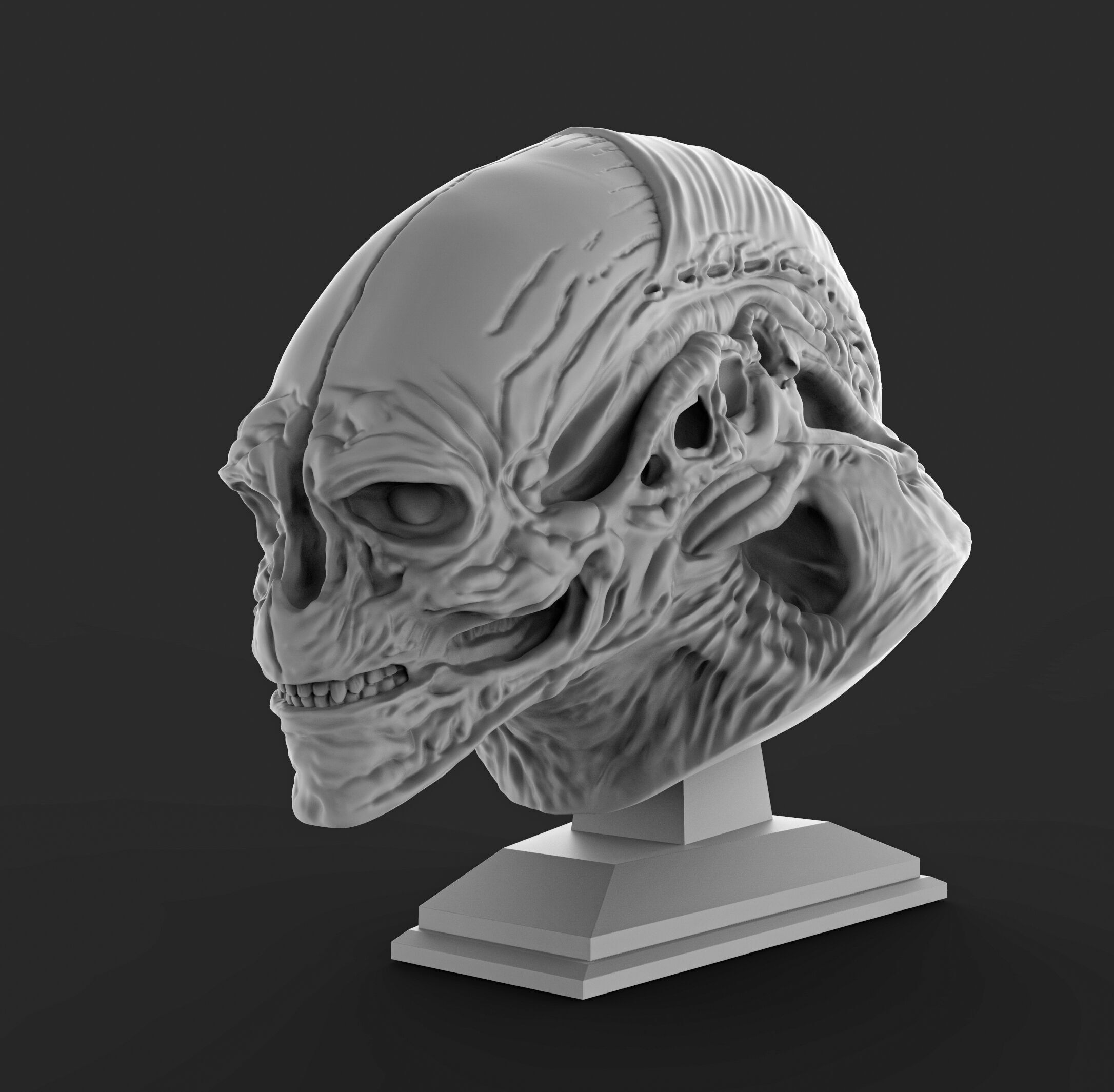 Alien newborn bust  3D print model_6