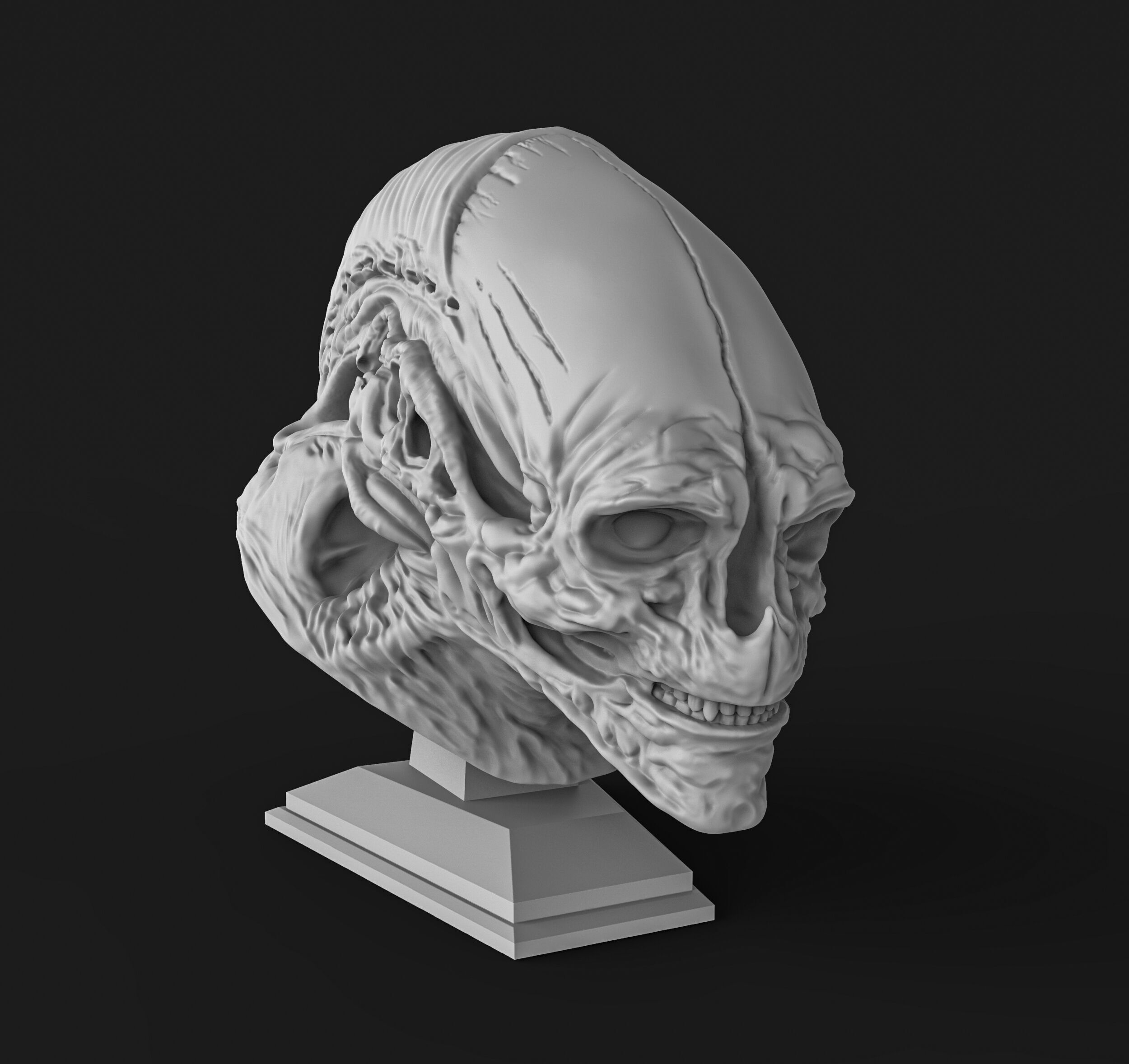 Alien newborn bust  3D print model_1