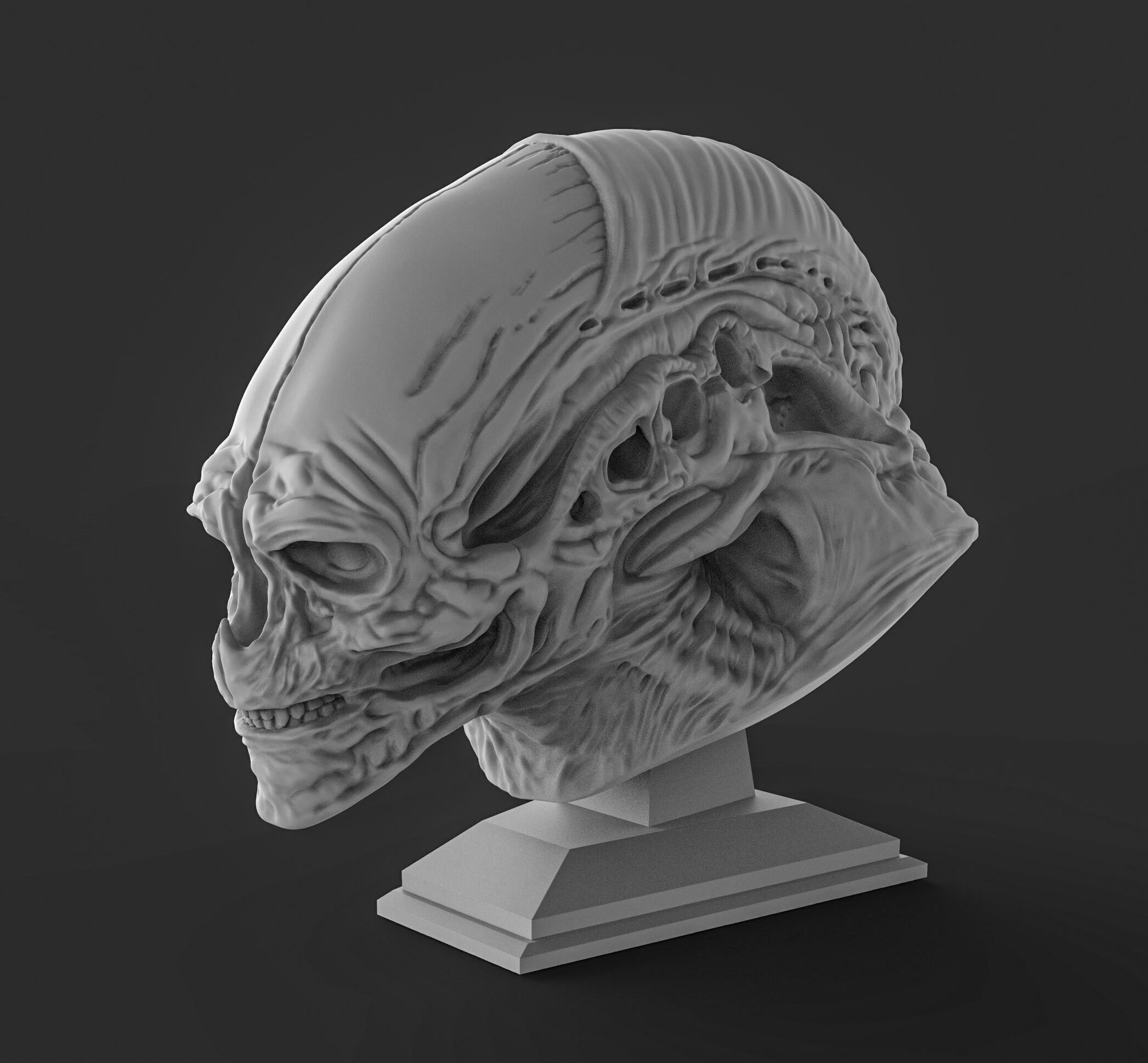 Alien newborn bust  3D print model_3