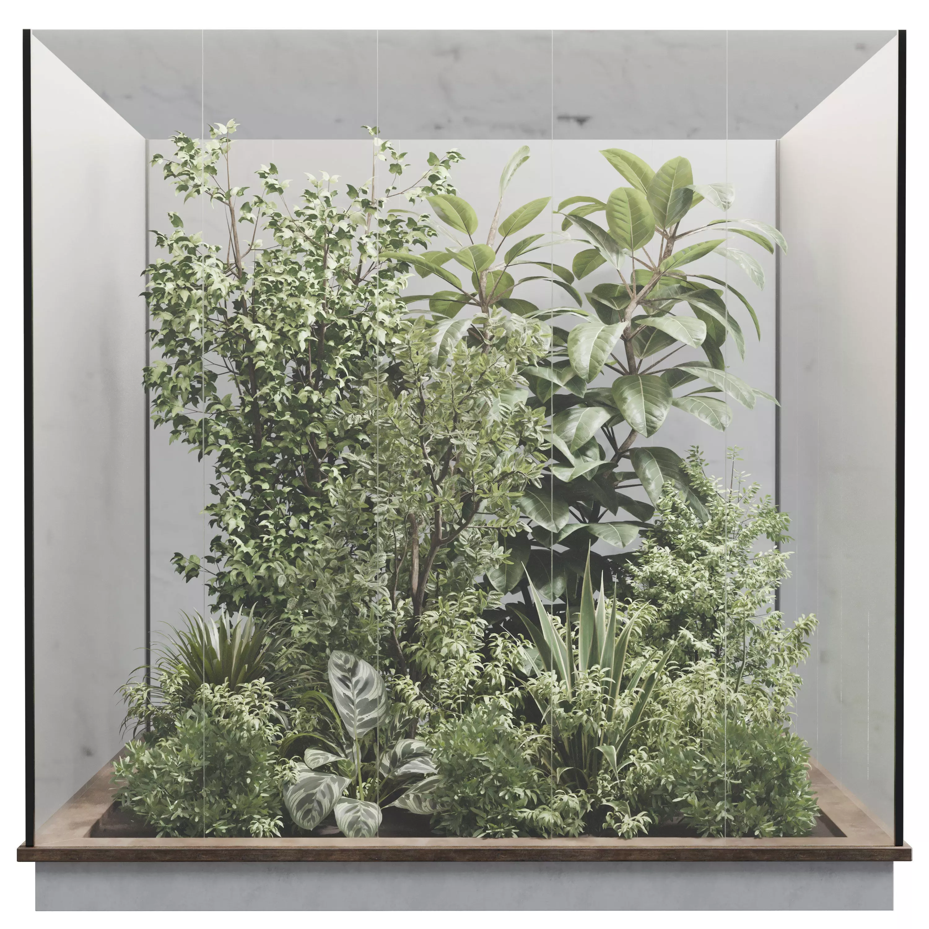 Plants Behind Galss 08 - indoor garden set 624 3D model_0