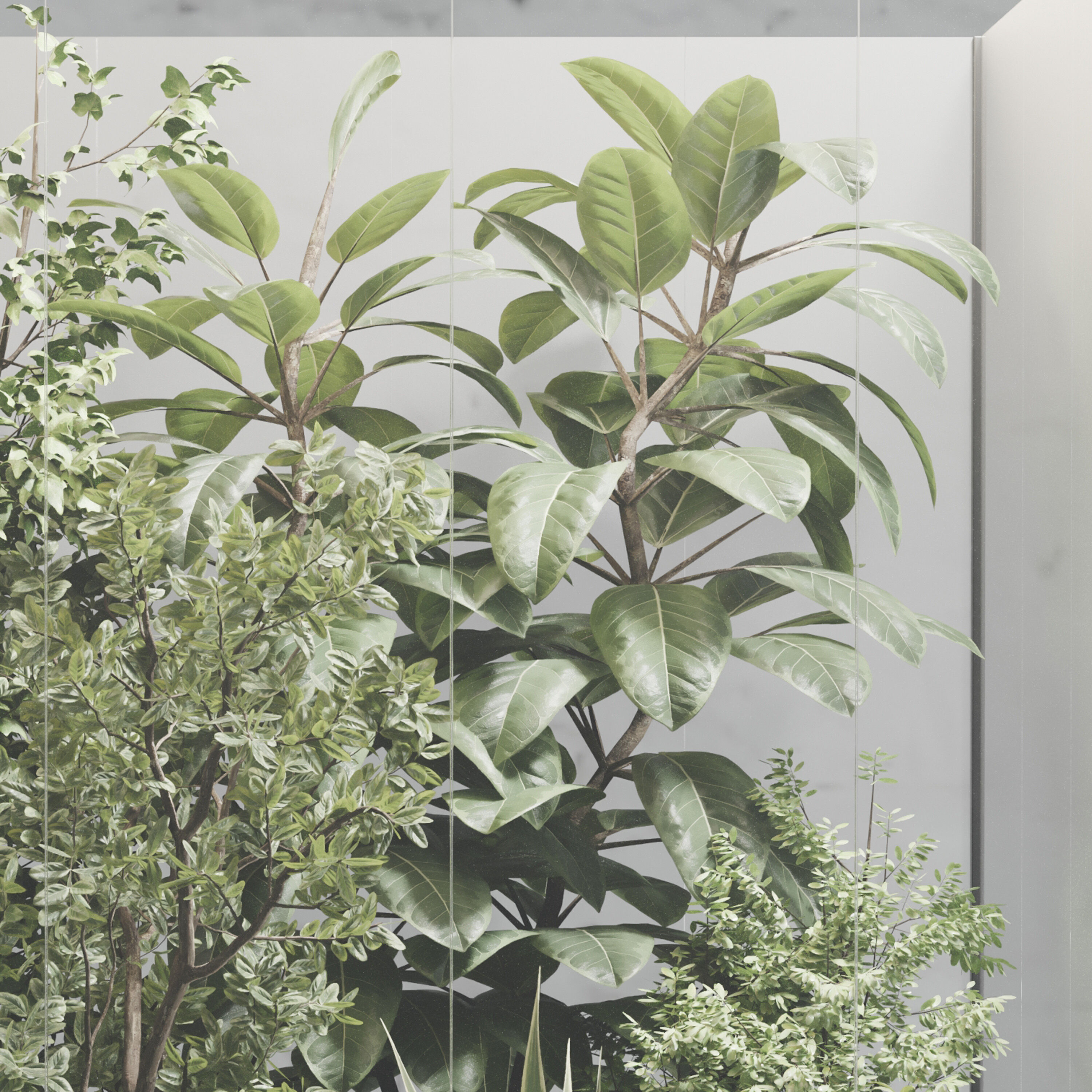 Plants Behind Galss 08 - indoor garden set 624 3D model_4