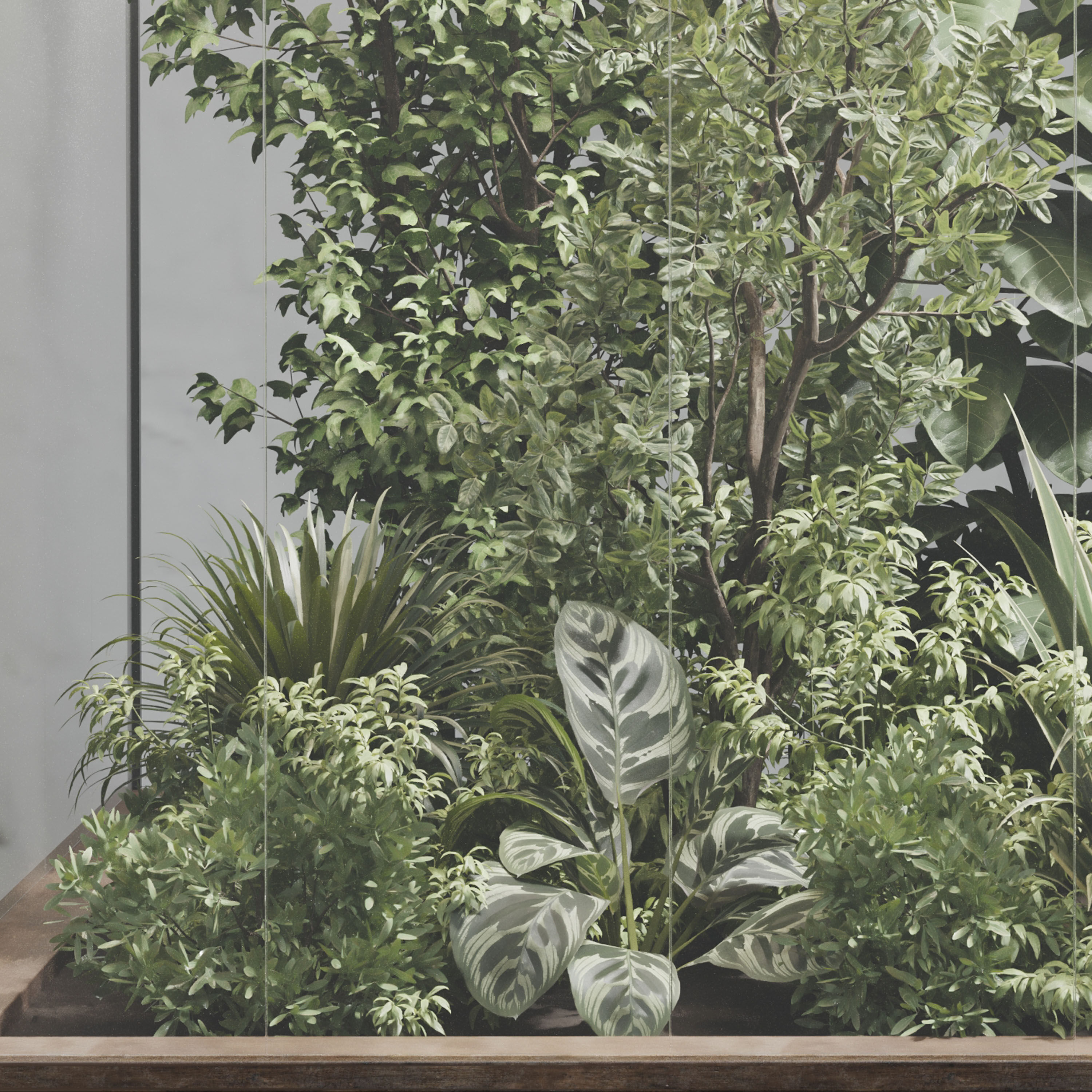 Plants Behind Galss 08 - indoor garden set 624 3D model_1