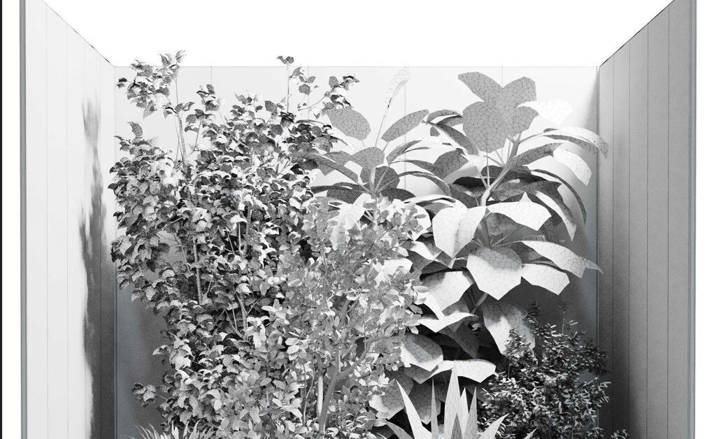 Plants Behind Galss 08 - indoor garden set 624 3D model_9