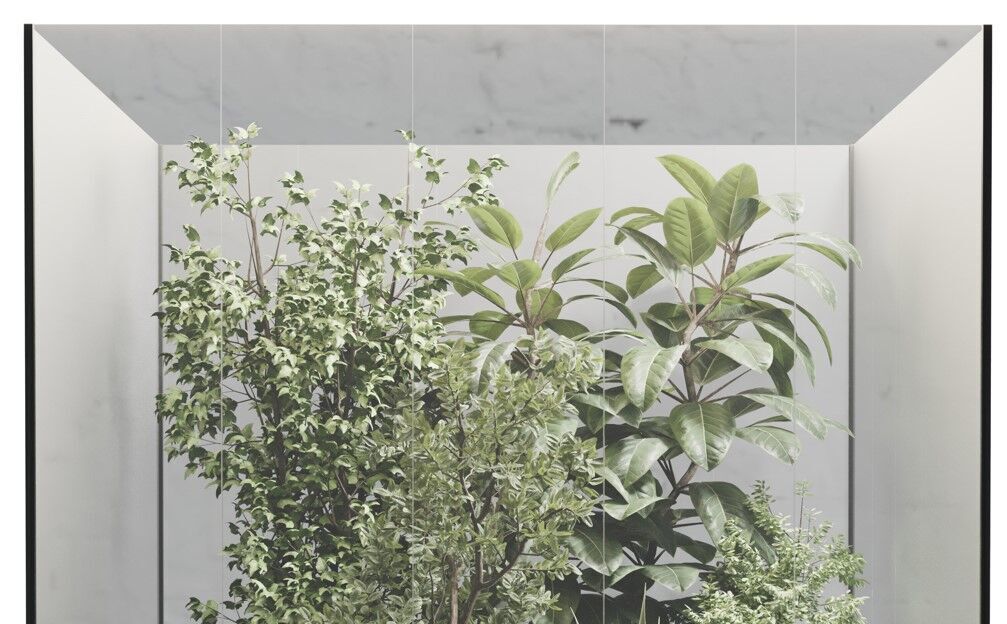 Plants Behind Galss 08 - indoor garden set 624 3D model_7