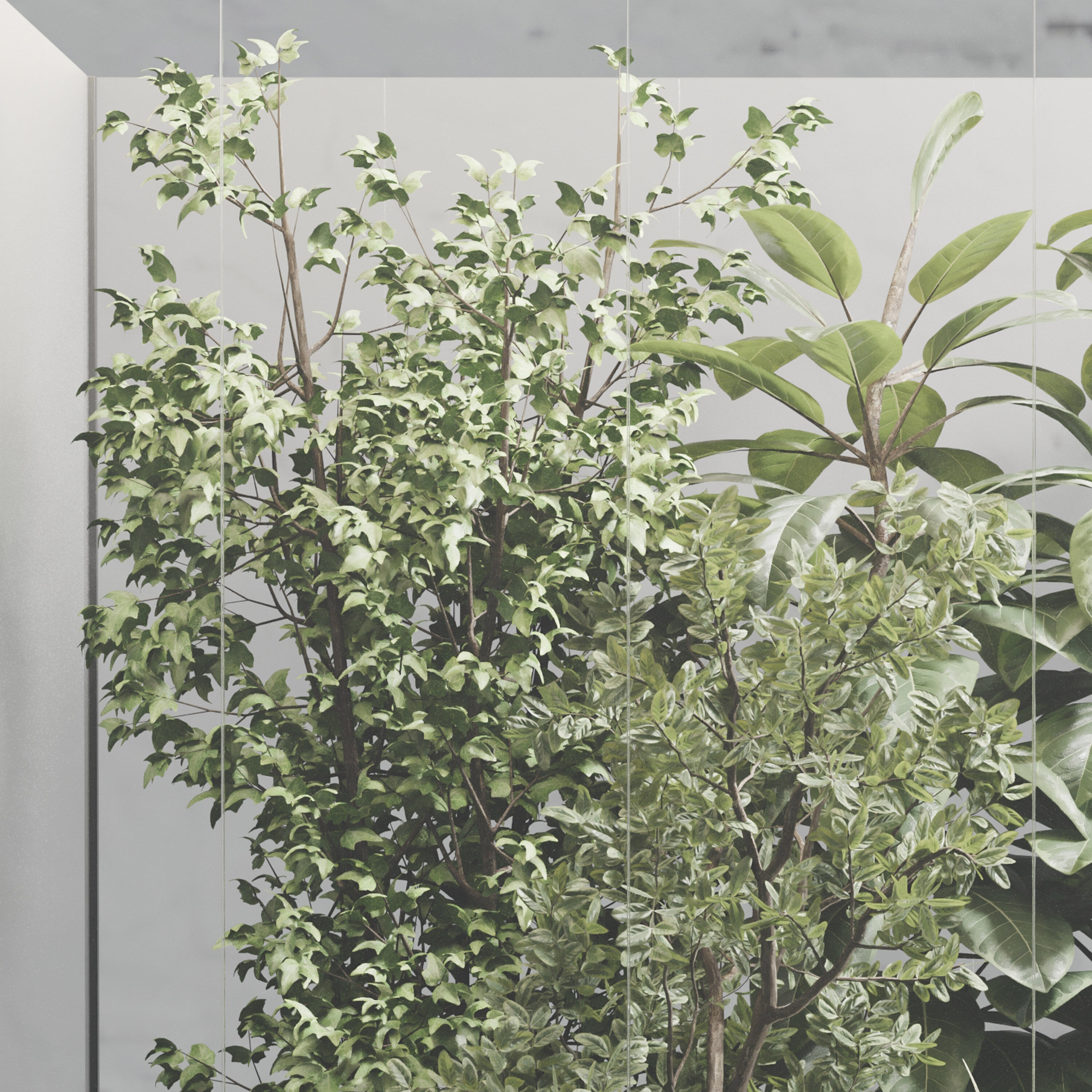 Plants Behind Galss 08 - indoor garden set 624 3D model_2