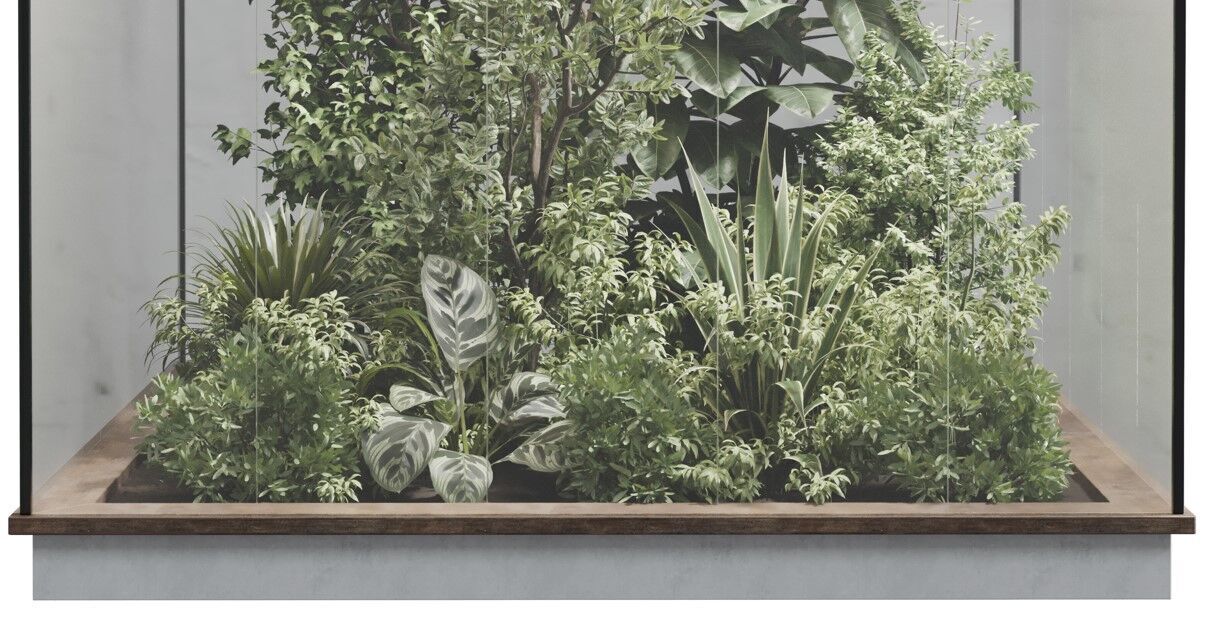 Plants Behind Galss 08 - indoor garden set 624 3D model_8