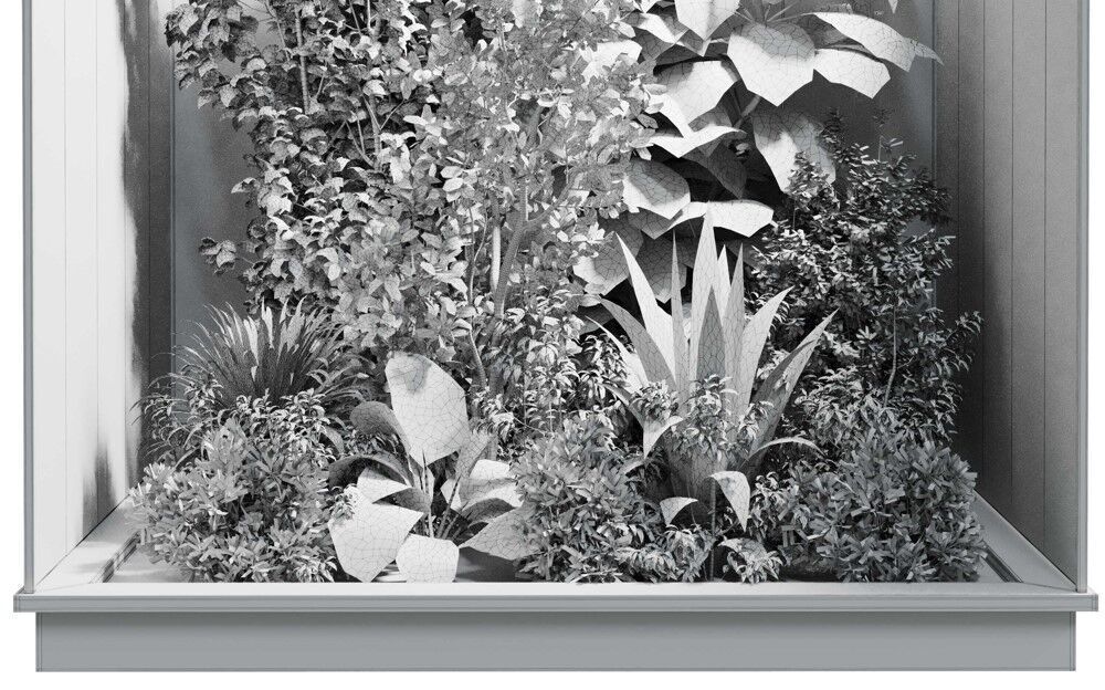 Plants Behind Galss 08 - indoor garden set 624 3D model_6