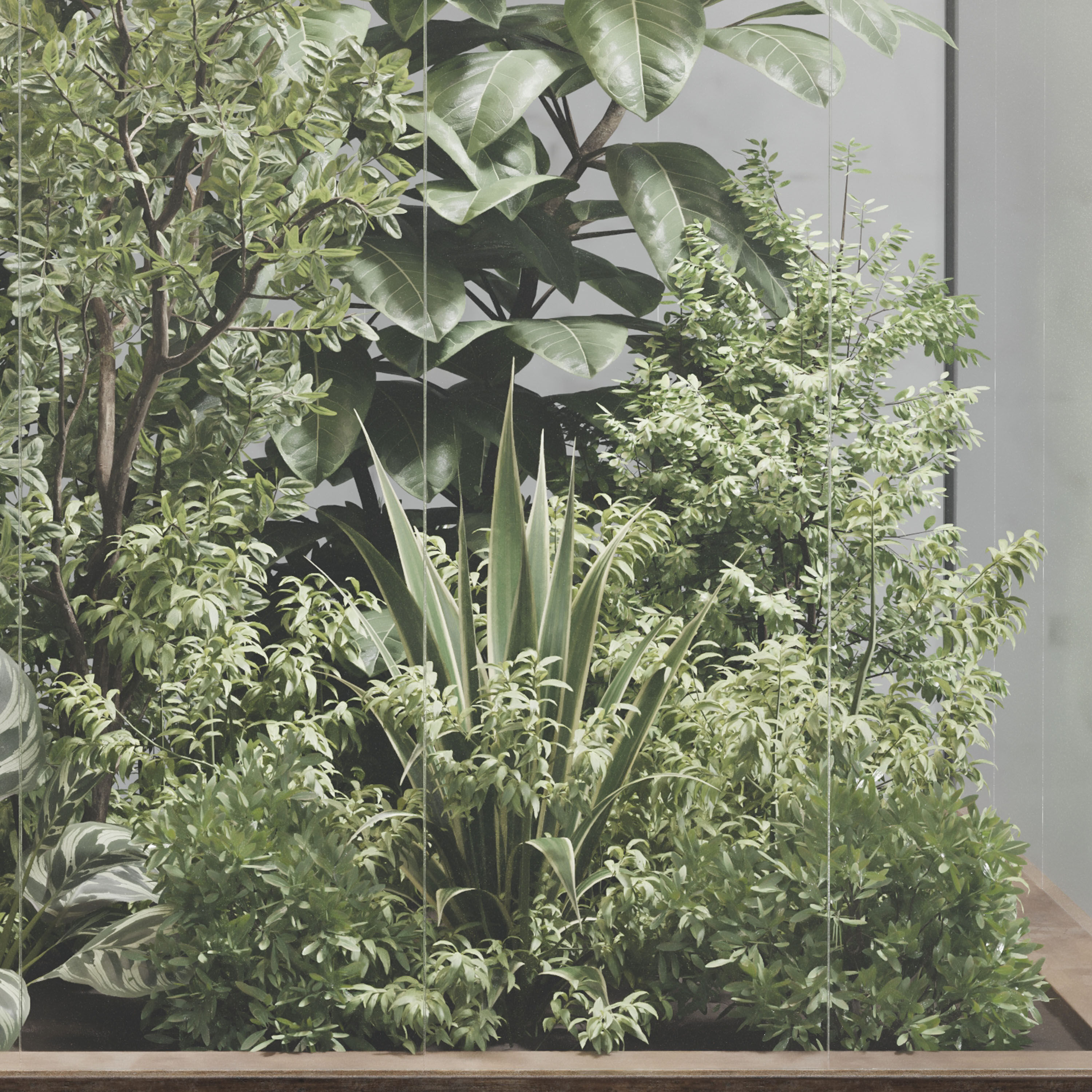 Plants Behind Galss 08 - indoor garden set 624 3D model_3