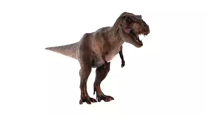 Tyrannosaurus Rex 3D Model  Fully Animated 160 Pro Animations    3D model