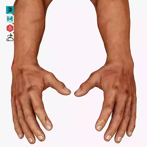 Male FPS Arm Low-poly 3D model