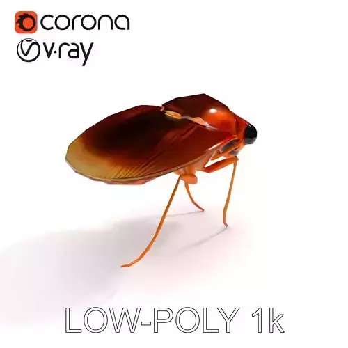 Insect Model Pack  High Detail D Cockroach Low-poly 3D model