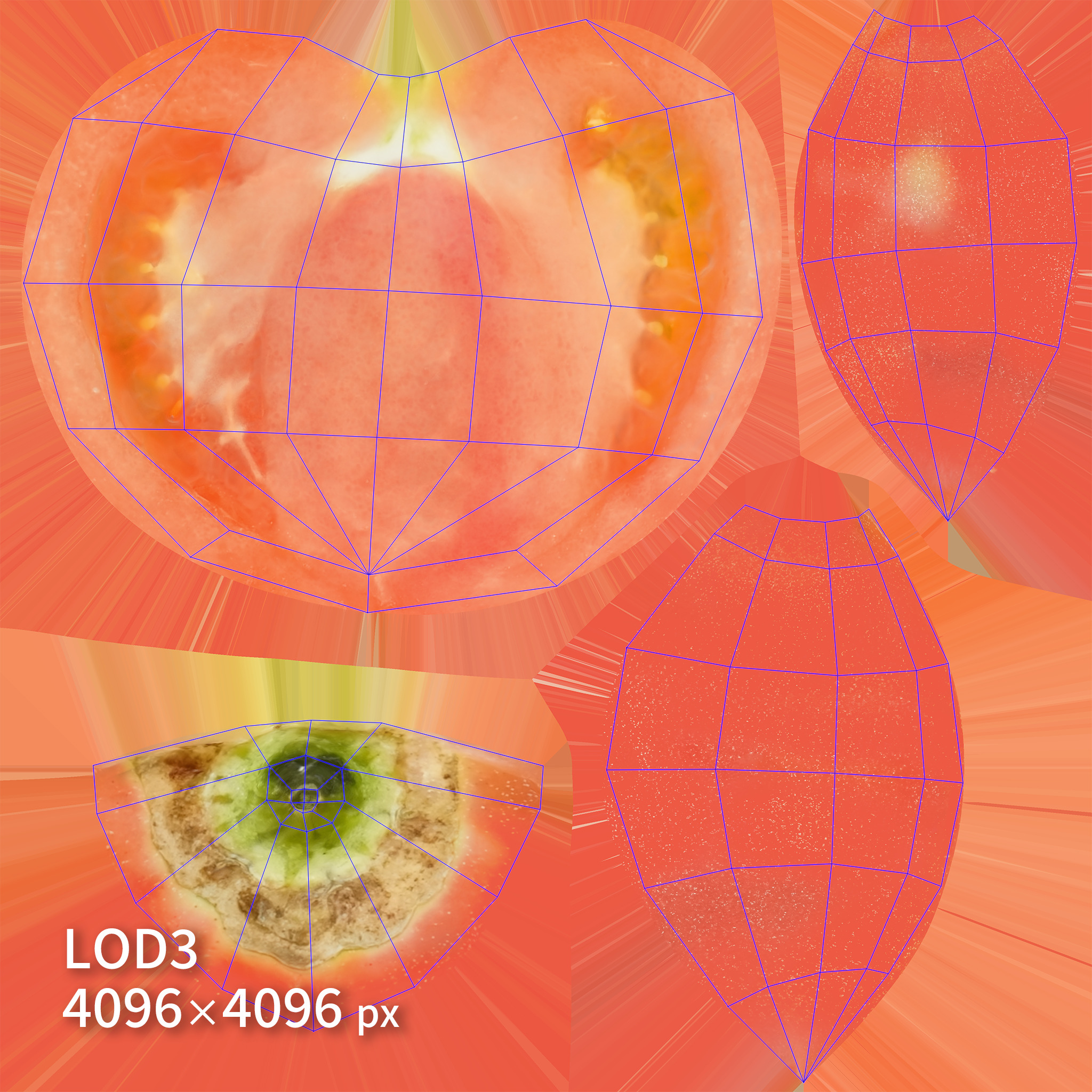 Cut Tomatoes 3D model Low-poly 3D model_9