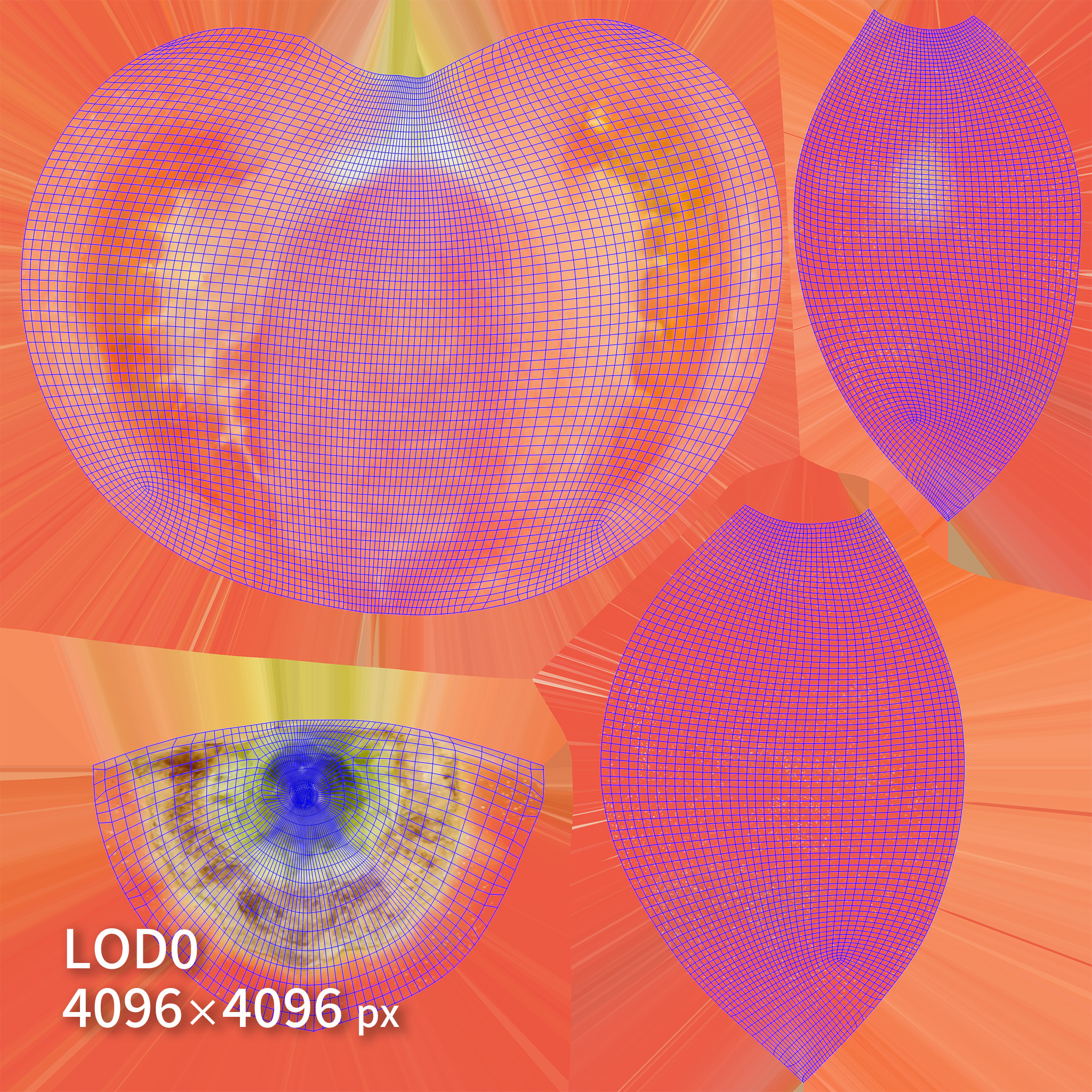 Cut Tomatoes 3D model Low-poly 3D model_8