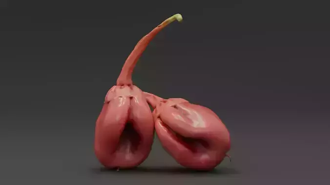  7 Pot Bubblegum Pepper or Capiscum chinense or BBG7