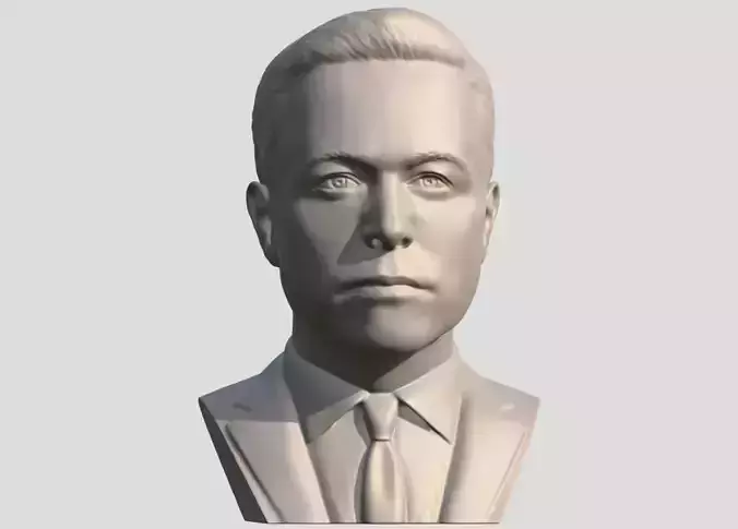 Elon Musk bust 3D print model