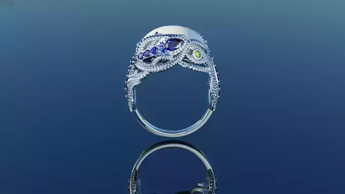 Ring-model 0002